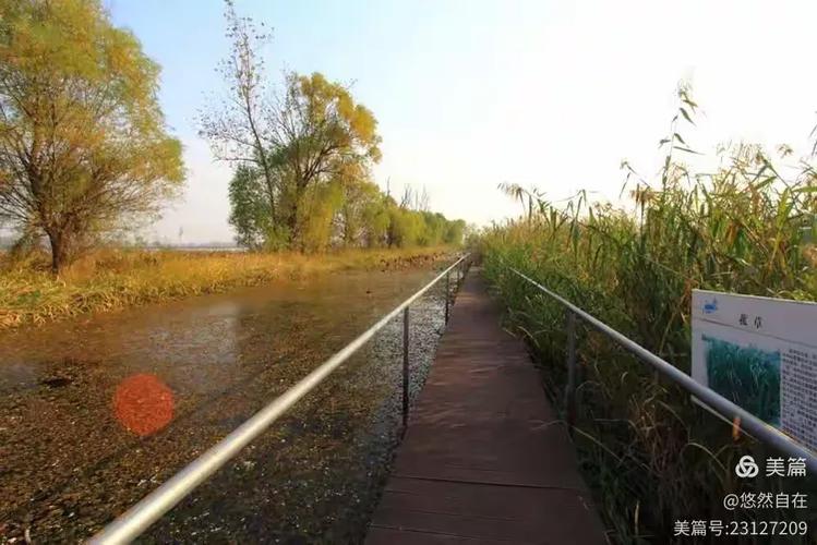 宝应湖国家湿地公园及纵棹园游记
